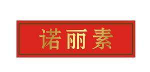 诺丽素 日用百货销售的新兴力量